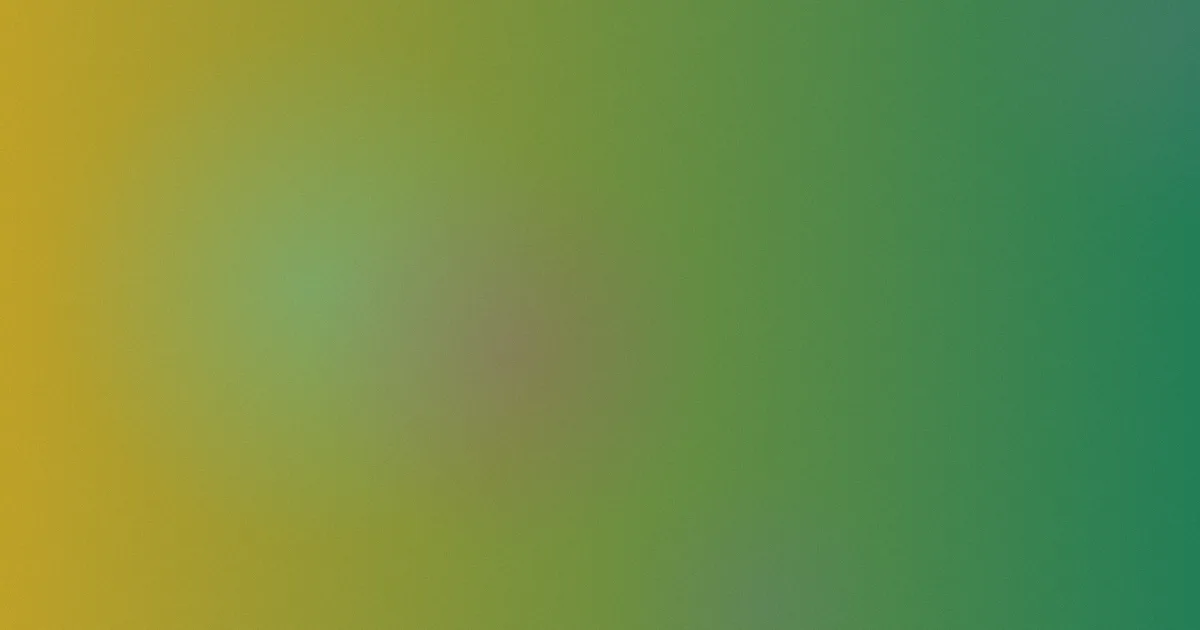 加勒比女海盗测评：别踩这些坑